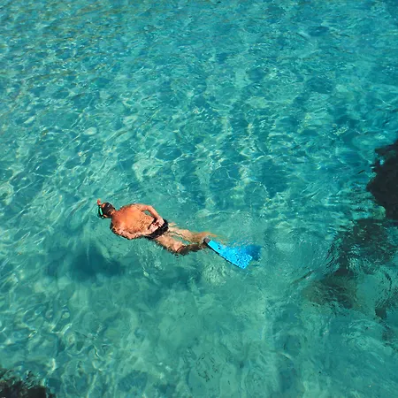 Hotel apartamentowy Niu D'aus 3*