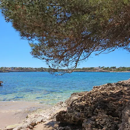 Niu D'aus Portopetro